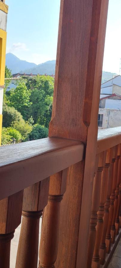 Apartamentos El Pigazu Cangas de Onis Exterior photo